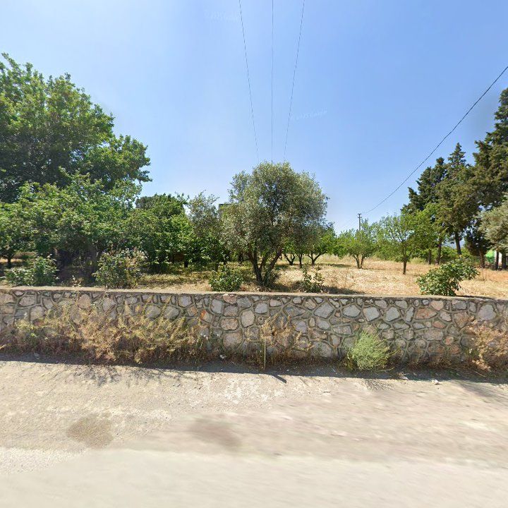 Fotoğraf 10