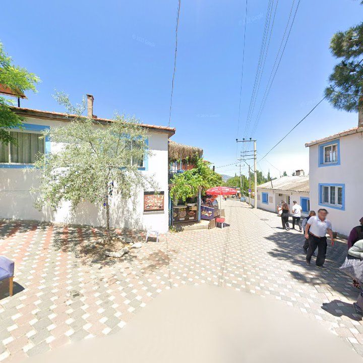 Fotoğraf 11