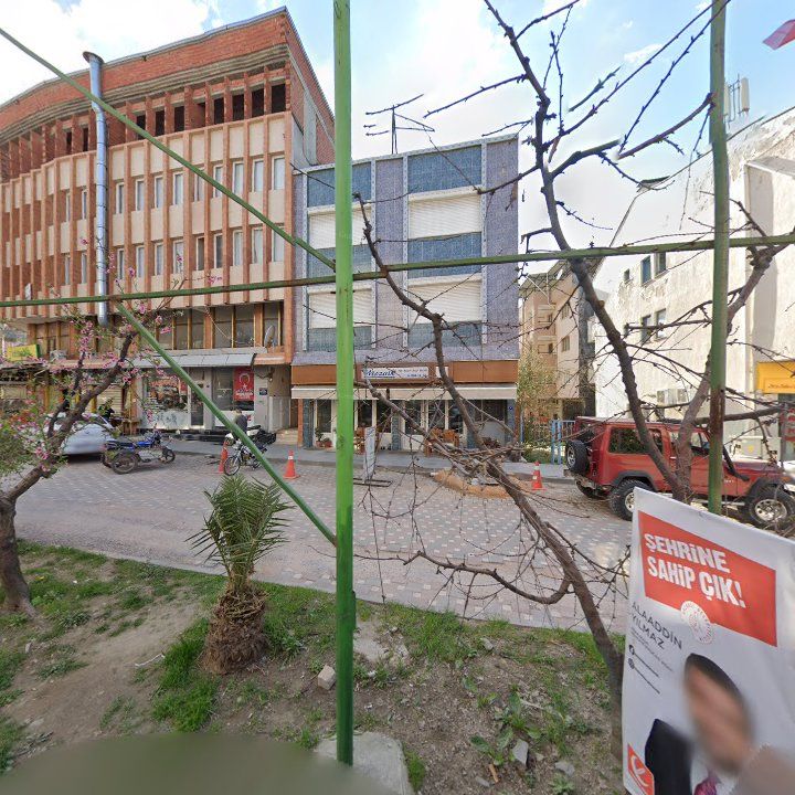 Fotoğraf 8