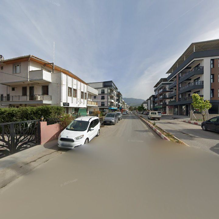 Fotoğraf 10