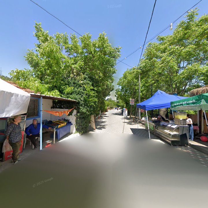 Fotoğraf 10