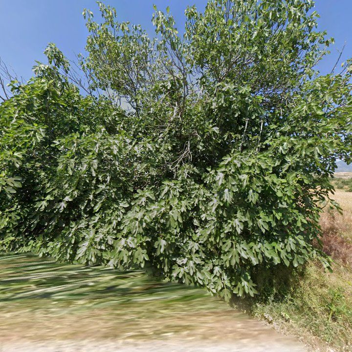 Fotoğraf 11