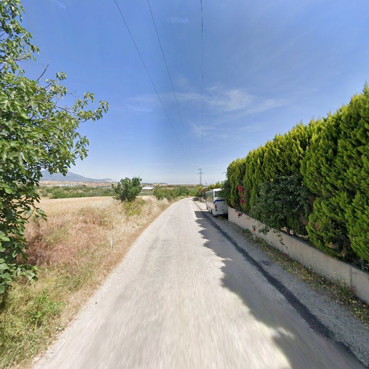 Fotoğraf 12