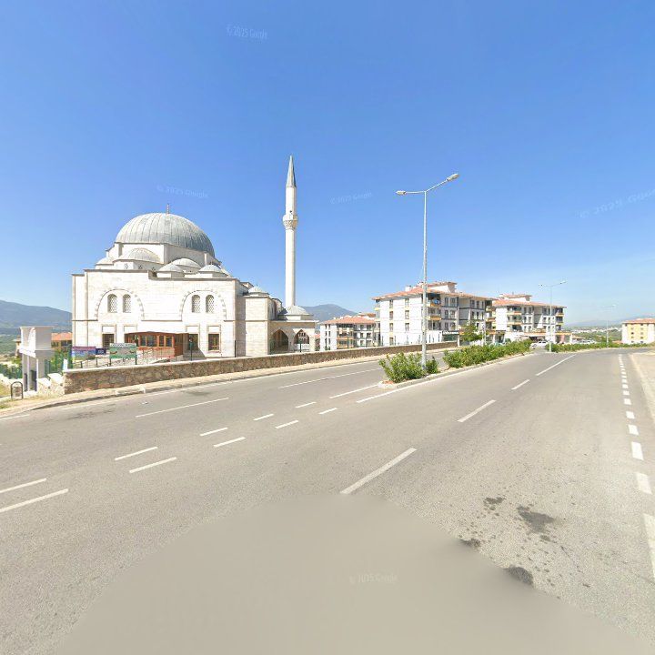 Fotoğraf 7