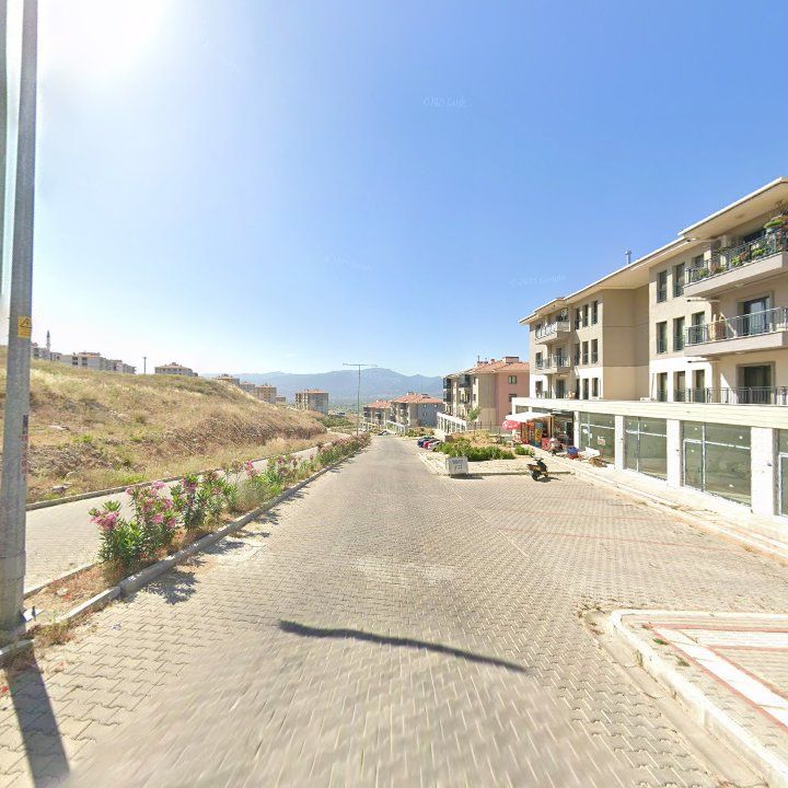 Fotoğraf 10
