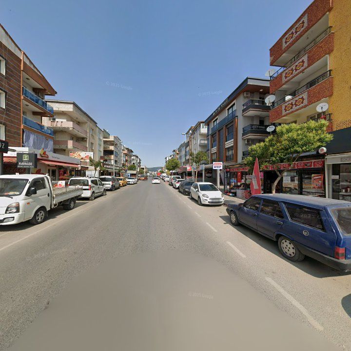 Fotoğraf 12