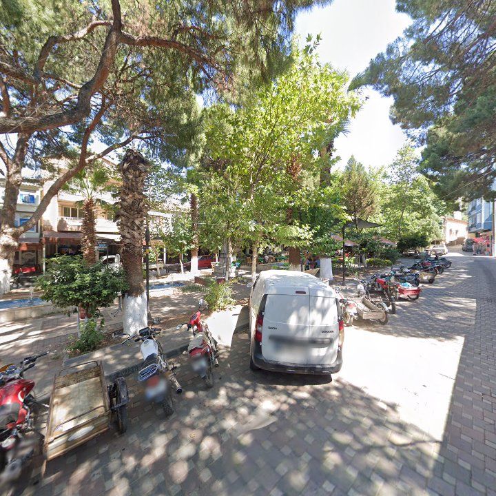 Fotoğraf 8