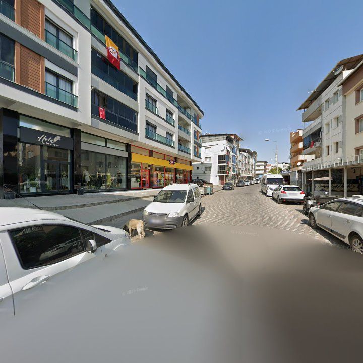 Fotoğraf 5
