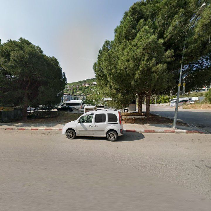 Fotoğraf 8