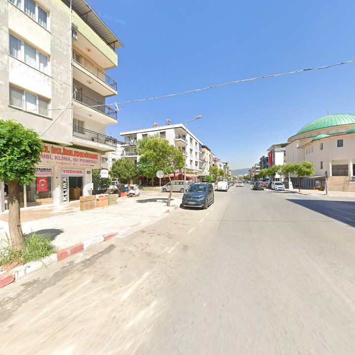 Fotoğraf 8