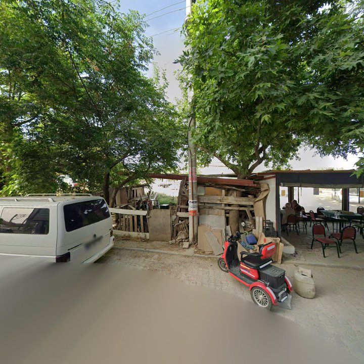 Fotoğraf 7