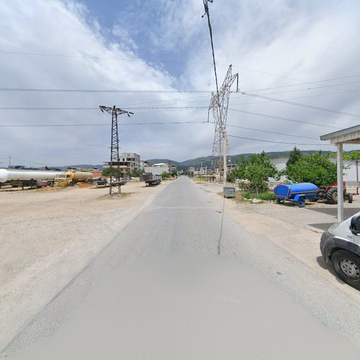 Fotoğraf 8