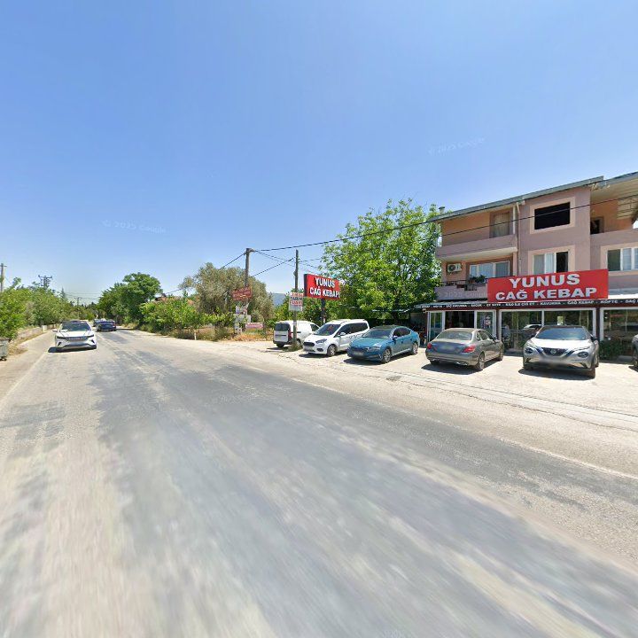 Fotoğraf 11
