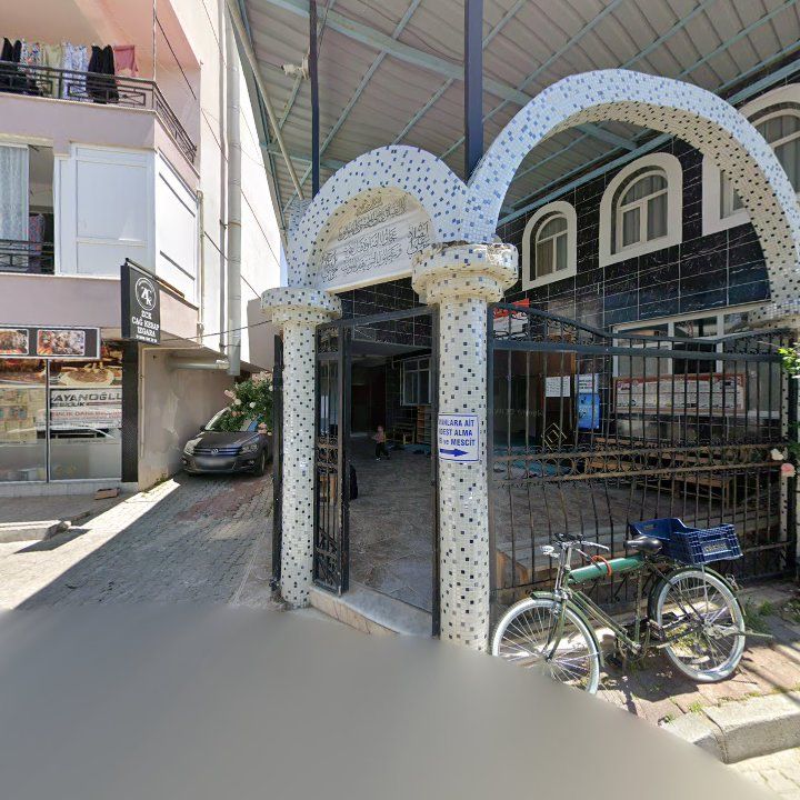 Fotoğraf 7