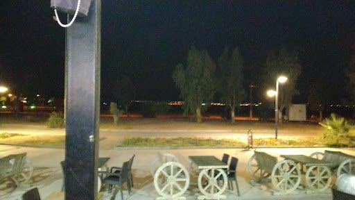 Fotoğraf 31
