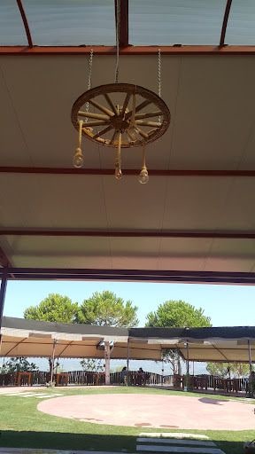 Fotoğraf 20