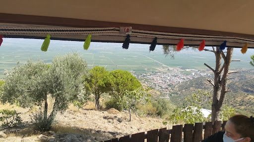 Fotoğraf 21