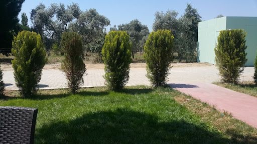 Fotoğraf 11