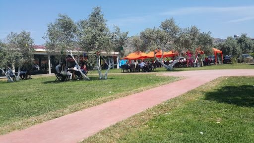 Fotoğraf 12