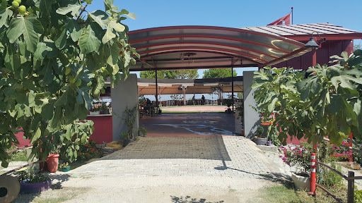 Fotoğraf 24