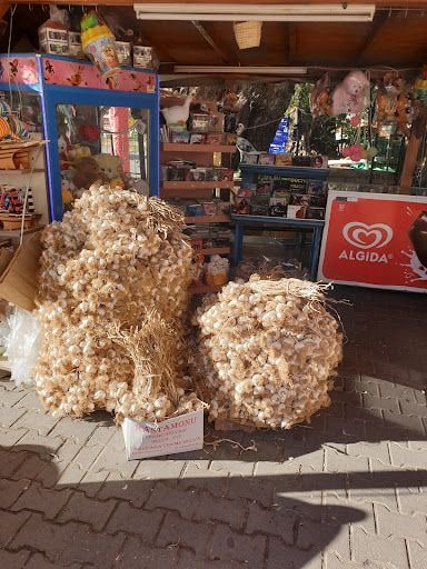 Yorum fotoğrafı 3