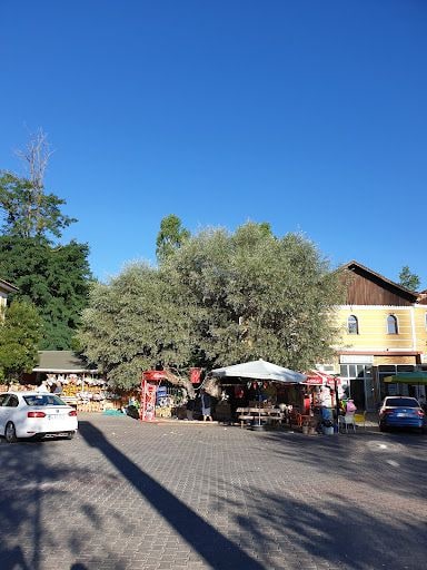 Yorum fotoğrafı 6