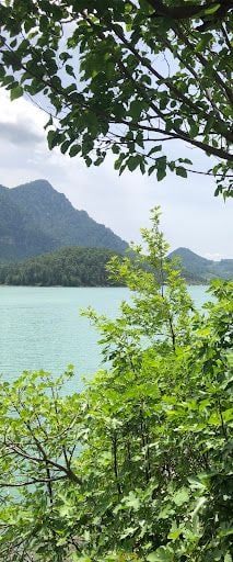Yorum fotoğrafı 6