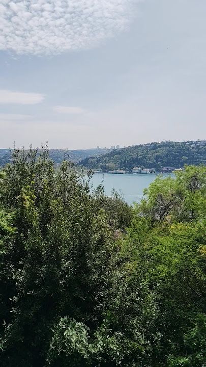 Fotoğraf 31