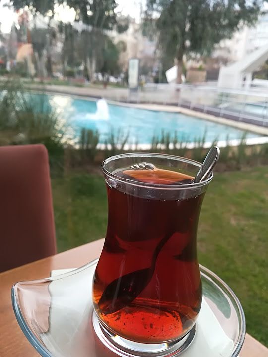 Fotoğraf 11