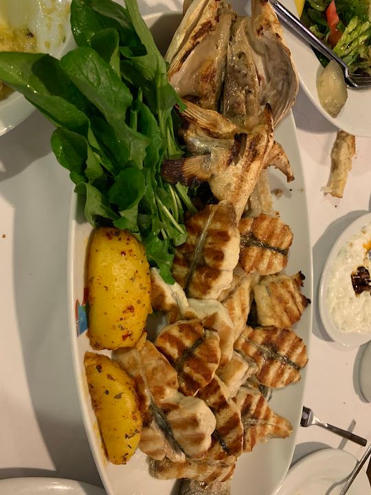 Fotoğraf 17