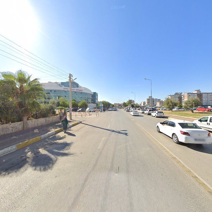 Fotoğraf 9