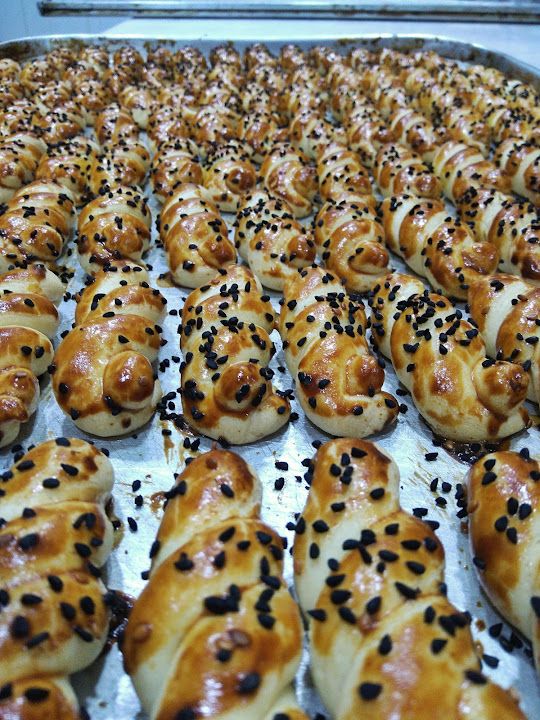 Fotoğraf 13