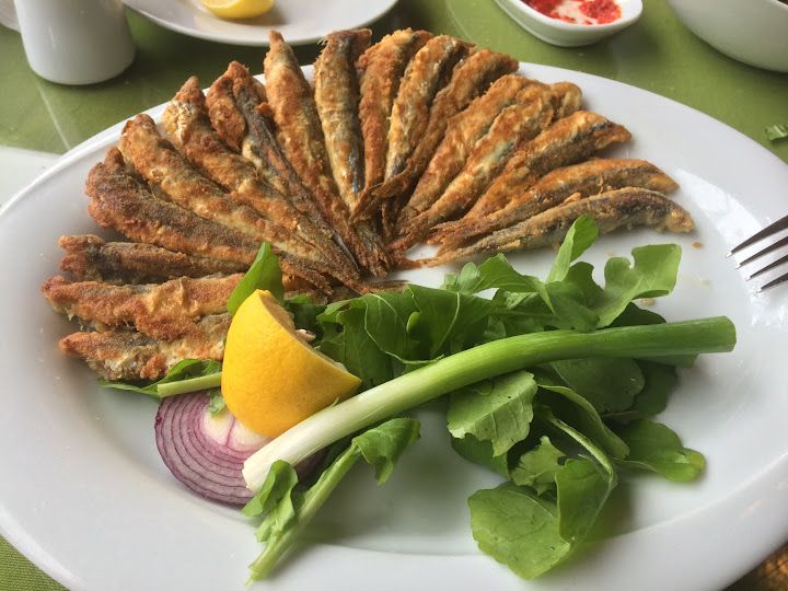 Fotoğraf 31