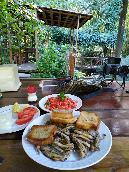 Fotoğraf 32
