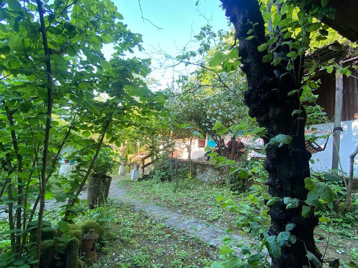 Fotoğraf 30
