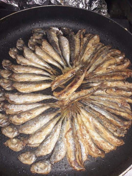 Fotoğraf 25
