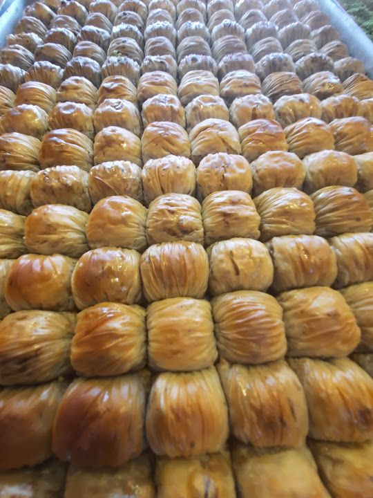 Fotoğraf 16