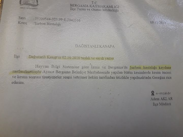 Fotoğraf 24