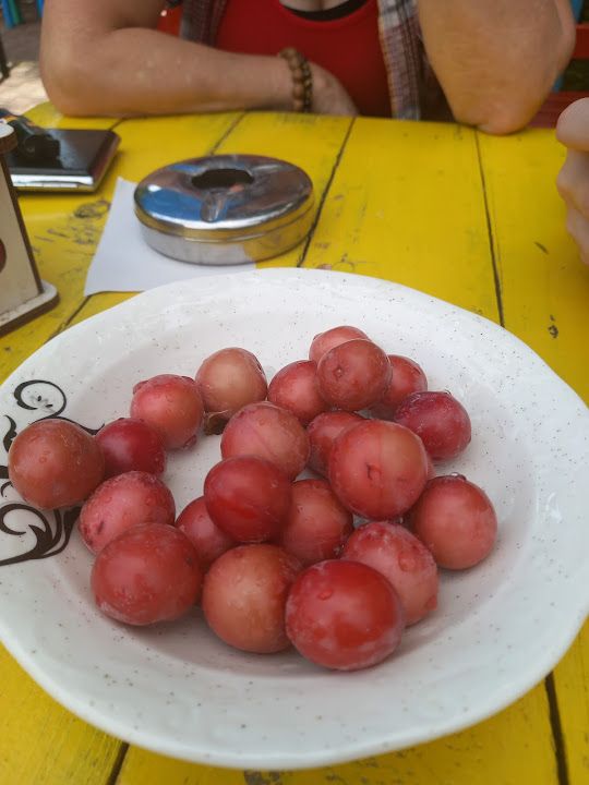 Fotoğraf 26