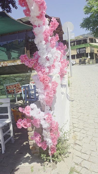 Fotoğraf 21