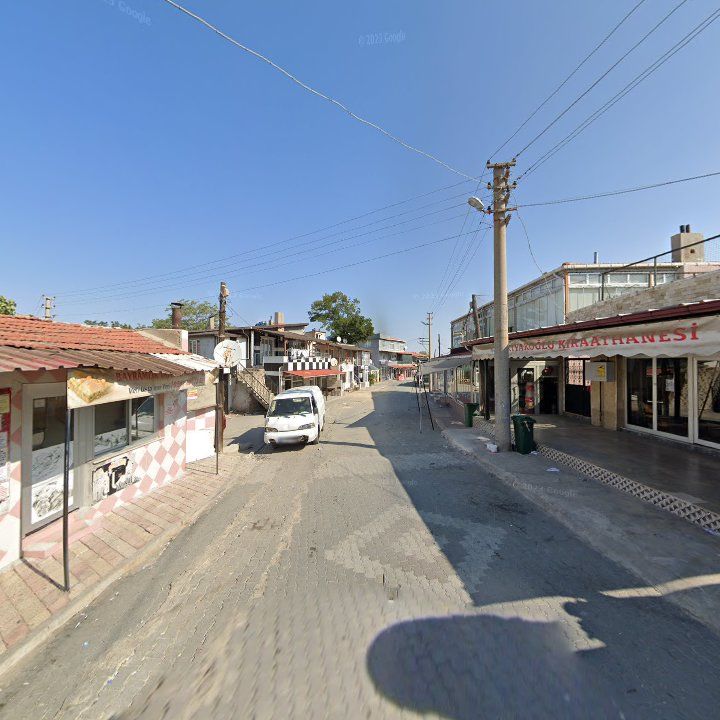 Fotoğraf 5