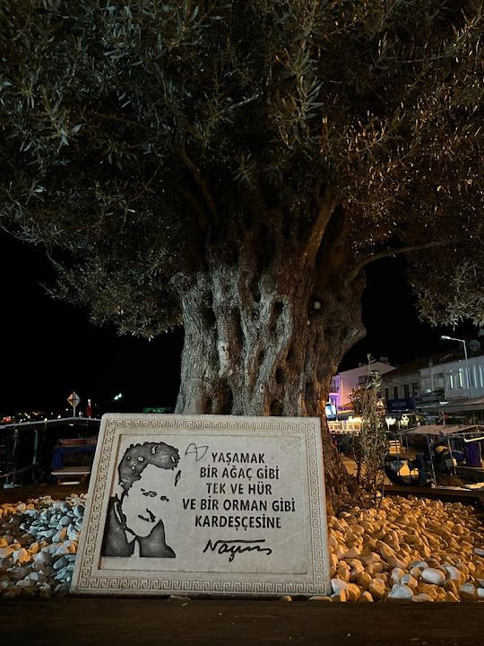 Yorum fotoğrafı 4