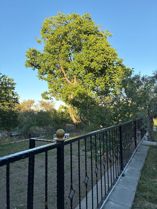 Fotoğraf 21