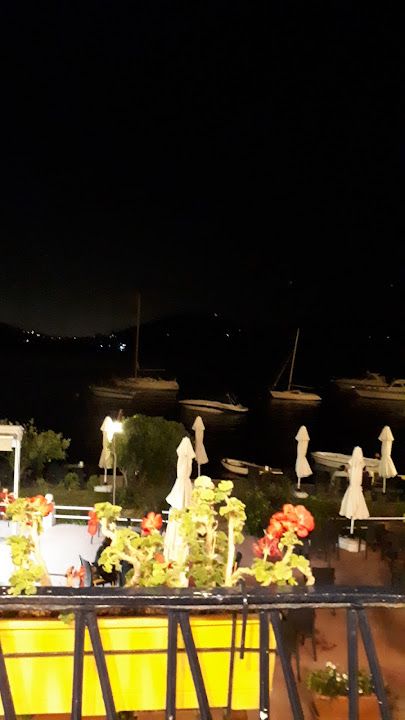 Fotoğraf 15