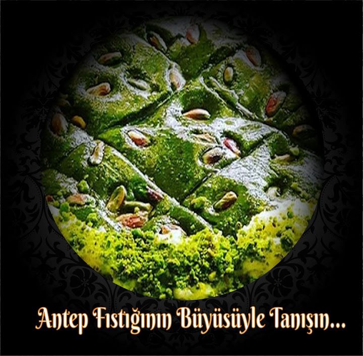 Fotoğraf 36