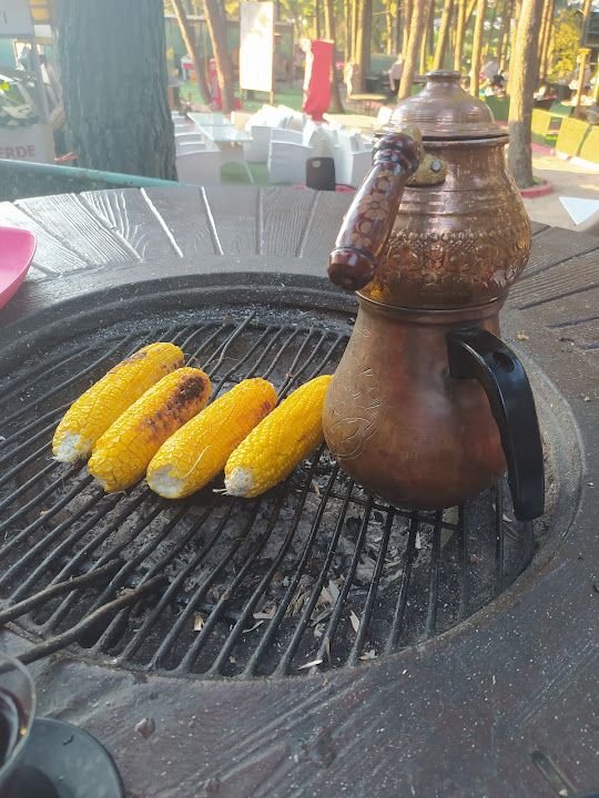 Fotoğraf 42