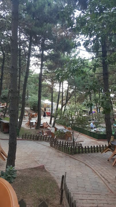 Fotoğraf 17