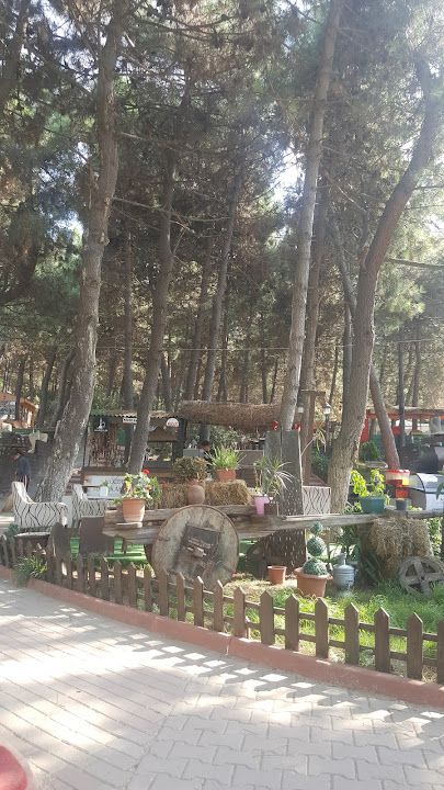 Fotoğraf 18