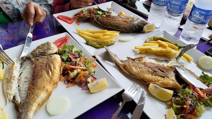 Fotoğraf 27
