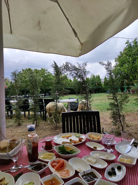 Fotoğraf 26